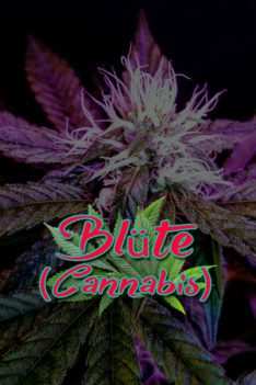 Bluete-Cannabis