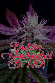 Butan-Haschisch-oel-BHO