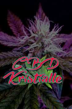 CBD-Kristalle