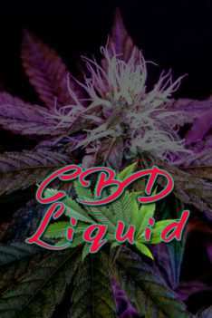 CBD-Liquid