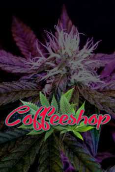 Coffeeshop