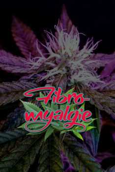 Fibromyalgie