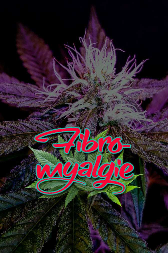 Cannabis Lexikon Begriff: "Flavonoide" Bild