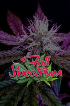 Full-Spectrum