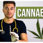 Cannabis - Wirkung und Nebenwirkungen - Doc Mo