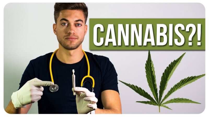 Cannabis – Wirkung und Nebenwirkungen – Doc Mo