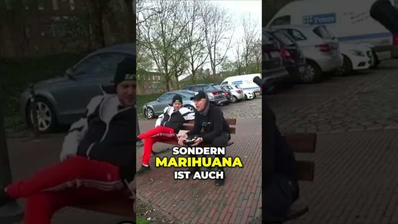 MontanaBlack über den positiven Effekt von CBD-Blüten! Teil 2 #montanablack