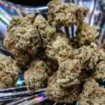 Cannabis CBD Artikelbild 3
