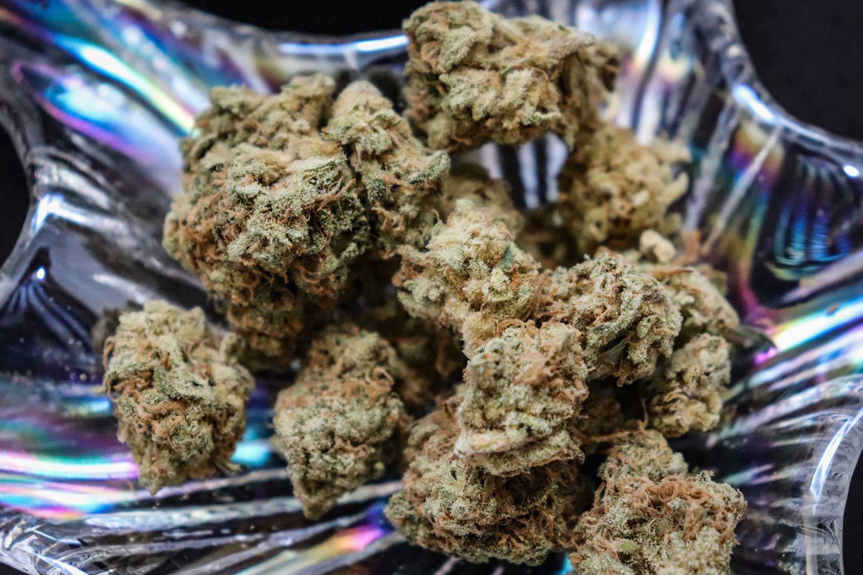Cannabis CBD Artikelbild 3