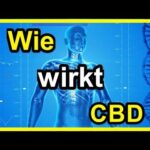 CBD Wirkung-Cannabis-Cannabinoid System