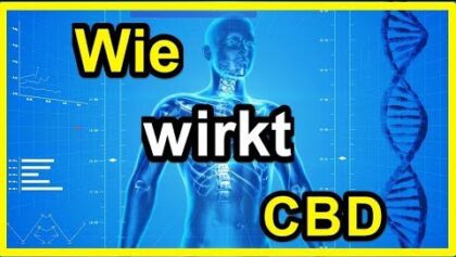 CBD Wirkung-Cannabis-Cannabinoid System