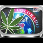 Cannabis Legalisiert | Dokumentation