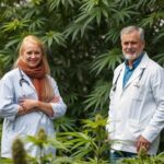 Cannabis - Chancen und Risken - Featured Image