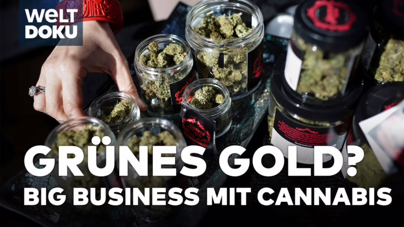 CANNABIS IN KALIFORNIEN: Humboldt County und der Preis der L…