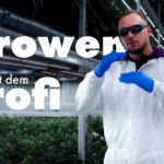Cannabis-Anbau in Perfektion: Crop Steering auf Steinwolle a...