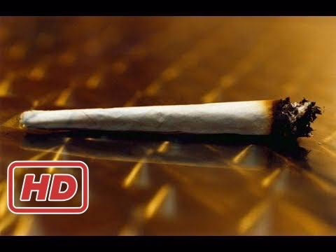 Cannabis-Boom in Amerika – So kifft sich Colorado reich! –