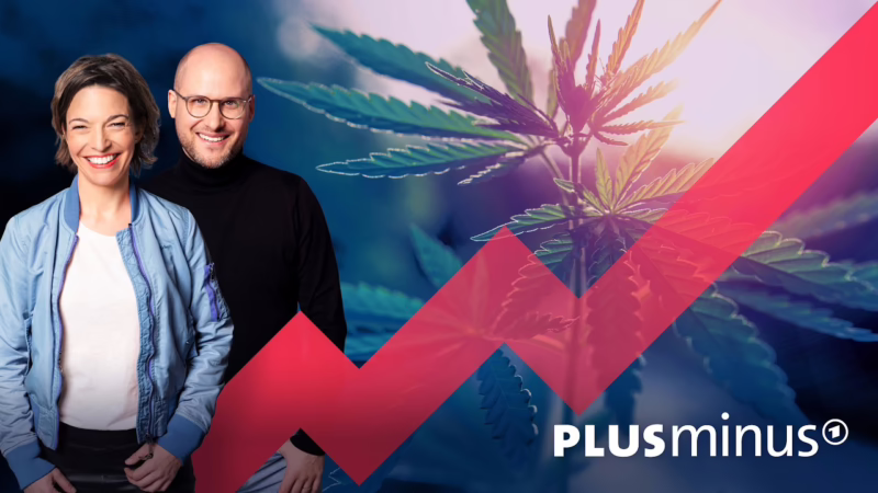 Cannabis-Legalisierung: gefährlich und teuer für uns alle? |…