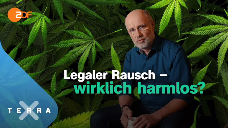 Cannabis – zwischen Horror und Heilung – Leschs Kosmos [Ganz…