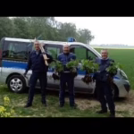 Deutschland kurz vor Cannabis Legalisierung Dokumentation 20...