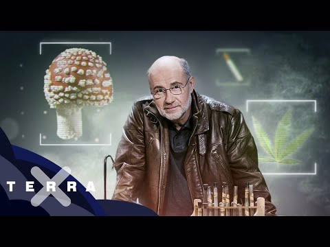 Drogen – Eine Weltgeschichte (1/2) | Ganze Folge Terra X