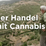 Marokko: Der König erlaubt Cannabis | ARTE Reportage