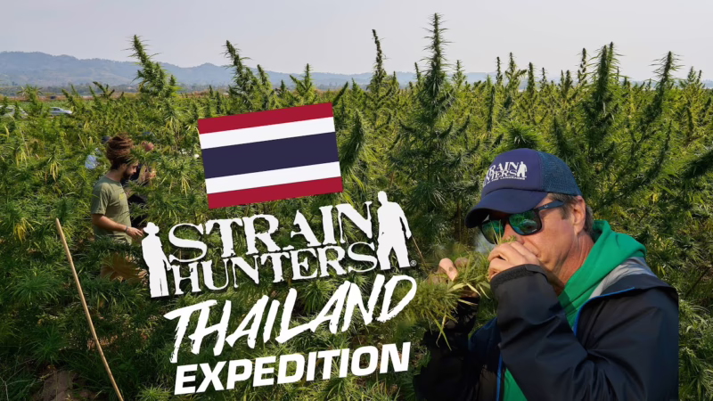 Sorte Hunters: Thailand Expedition Voller Dokumentarfilm