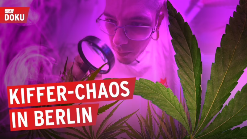 Ärger um den legalen Anbau von Cannabis | Kiffer-Chaos in