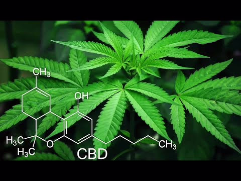 Marihuana – Doku|Deutsch|HD