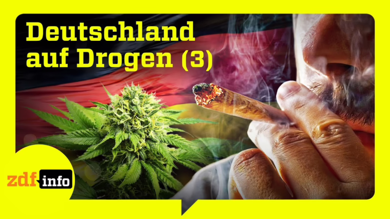 Provinz im Rausch: Cannabis-Hotspot an der deutschen Küste (…