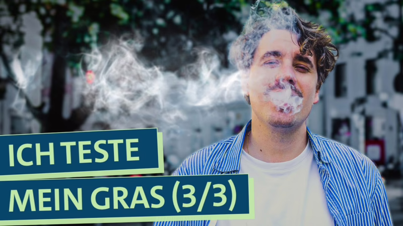 Wie gut ist mein Gras? Selbstexperiment Cannabis Anbau: Was …