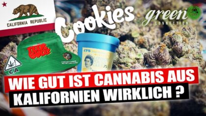 Cannabis 27 Die Cannabis Kultur In Kalifornien | Greenconnection In San …