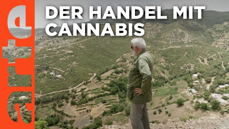 Marokko: Der König erlaubt Cannabis | ARTE Reportage Reuploa…