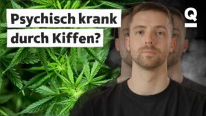 Cannabis 3 Psychose: Wie Gefährlich Ist Cannabis? | Quarks Storys