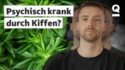 Cannabis 25 Psychose: Wie Gefährlich Ist Cannabis? | Quarks Storys