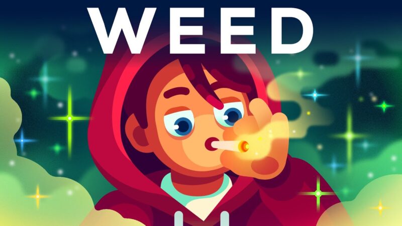 Wir müssen über Weed reden!